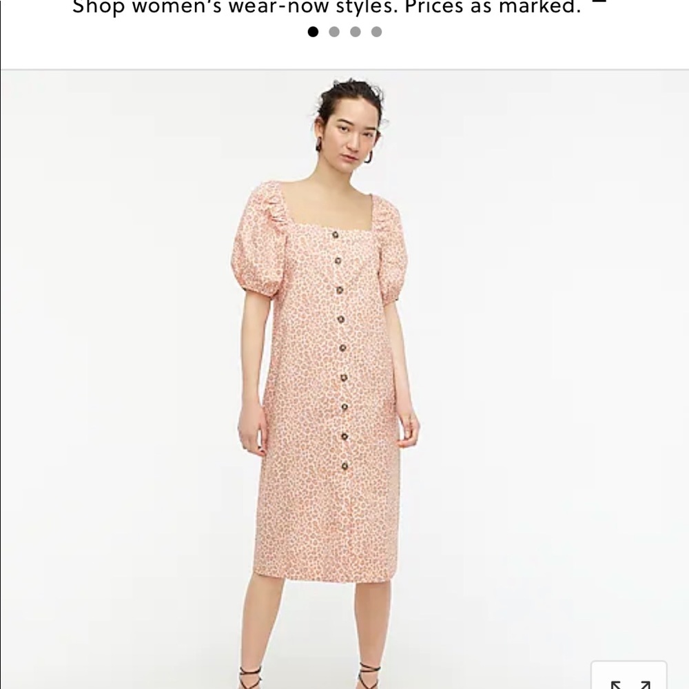 NWT JCrew Cottage Dress in Pink Leopard